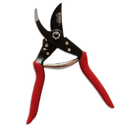 Carbon Curved Blade Scissor