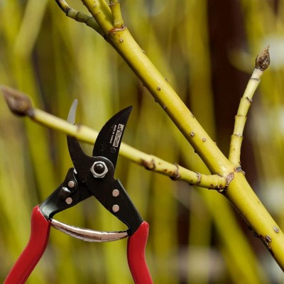 Carbon Curved Blade Scissor