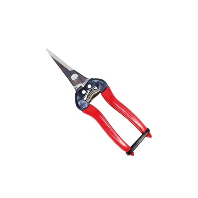 Sharp Fruit Pruner