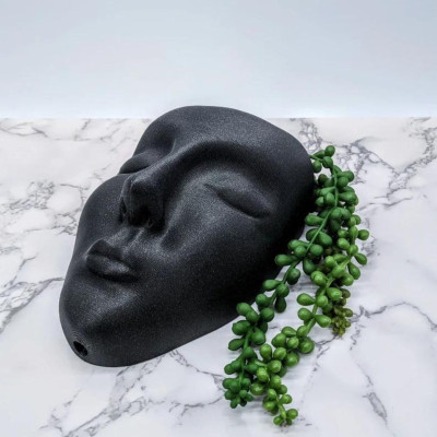 Face Wall Hanging Planter