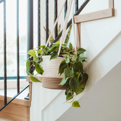 Jute Rope Hanging Basket