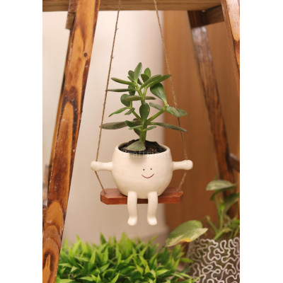 Face Swing Hanging Planter Pot