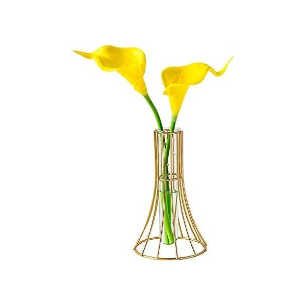 Metal Frame Vase