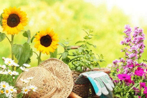 Balcony Garden