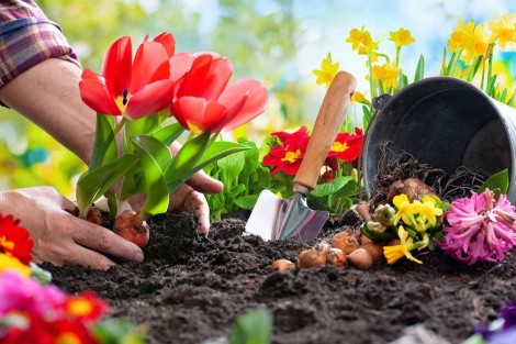 How to Prepare Your Garden for Spring?